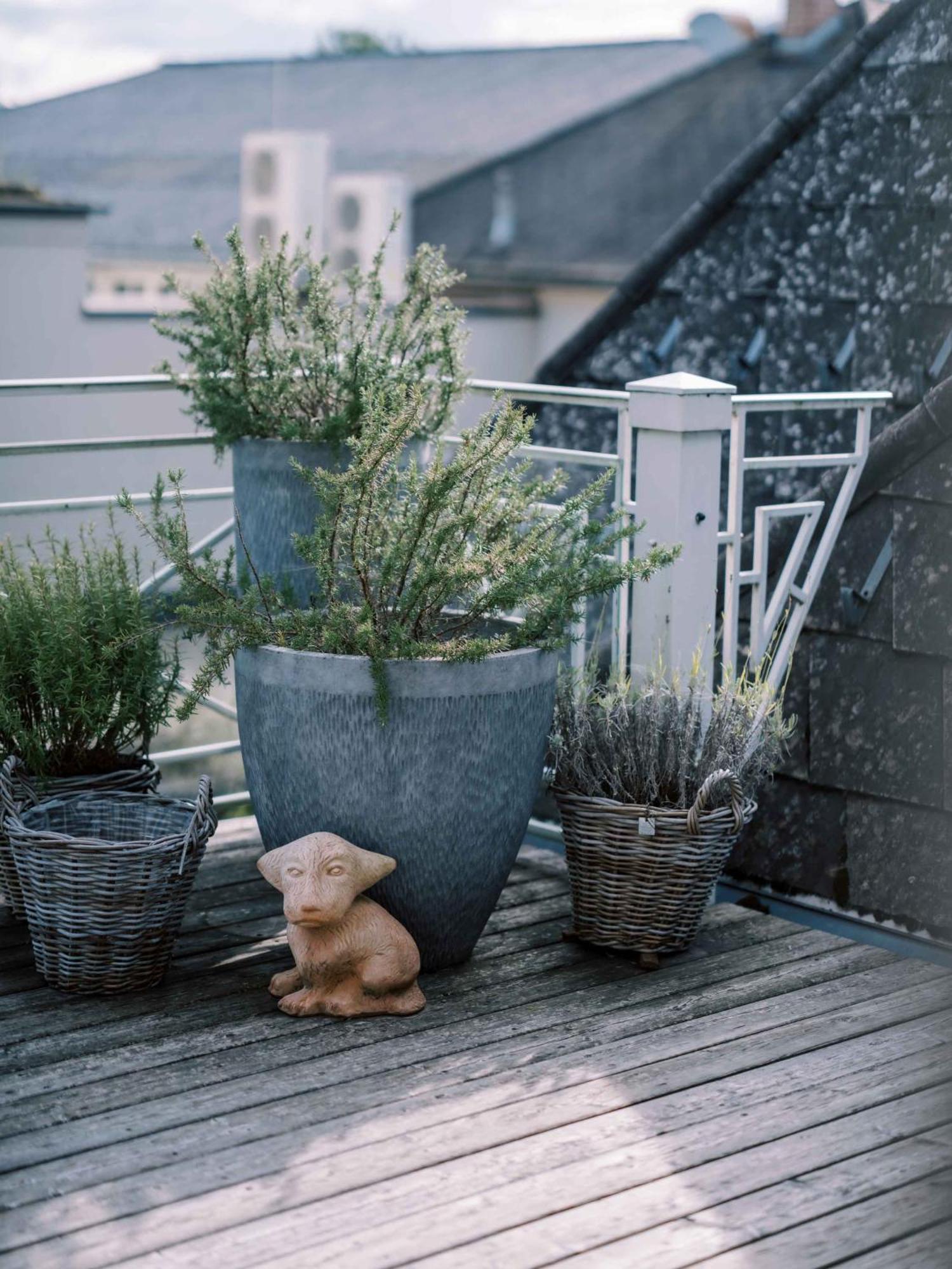 Garten-Hotel Ochensberger Sankt Ruprecht an der Raab Eksteriør billede